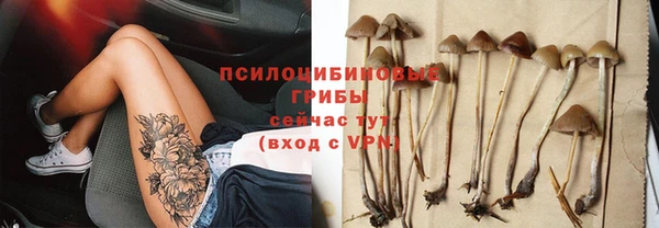 прущие крисы Алексин