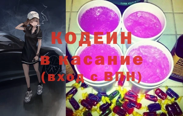 прущие грибы Алзамай