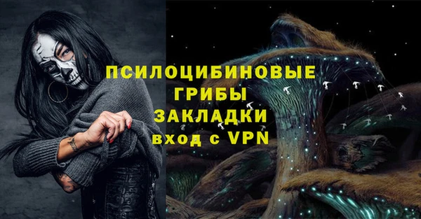 прущие грибы Алзамай