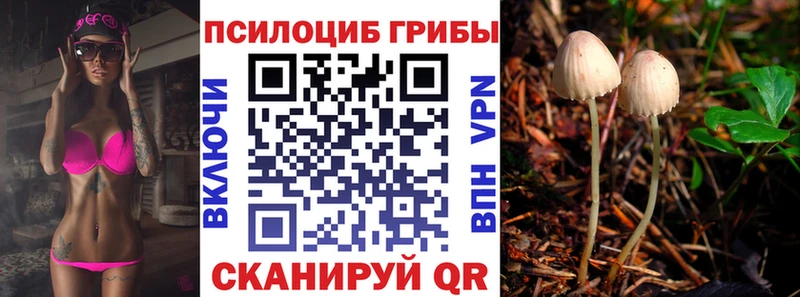 цена наркотик Юрьевец Псилоцибиновые грибы прущие грибы